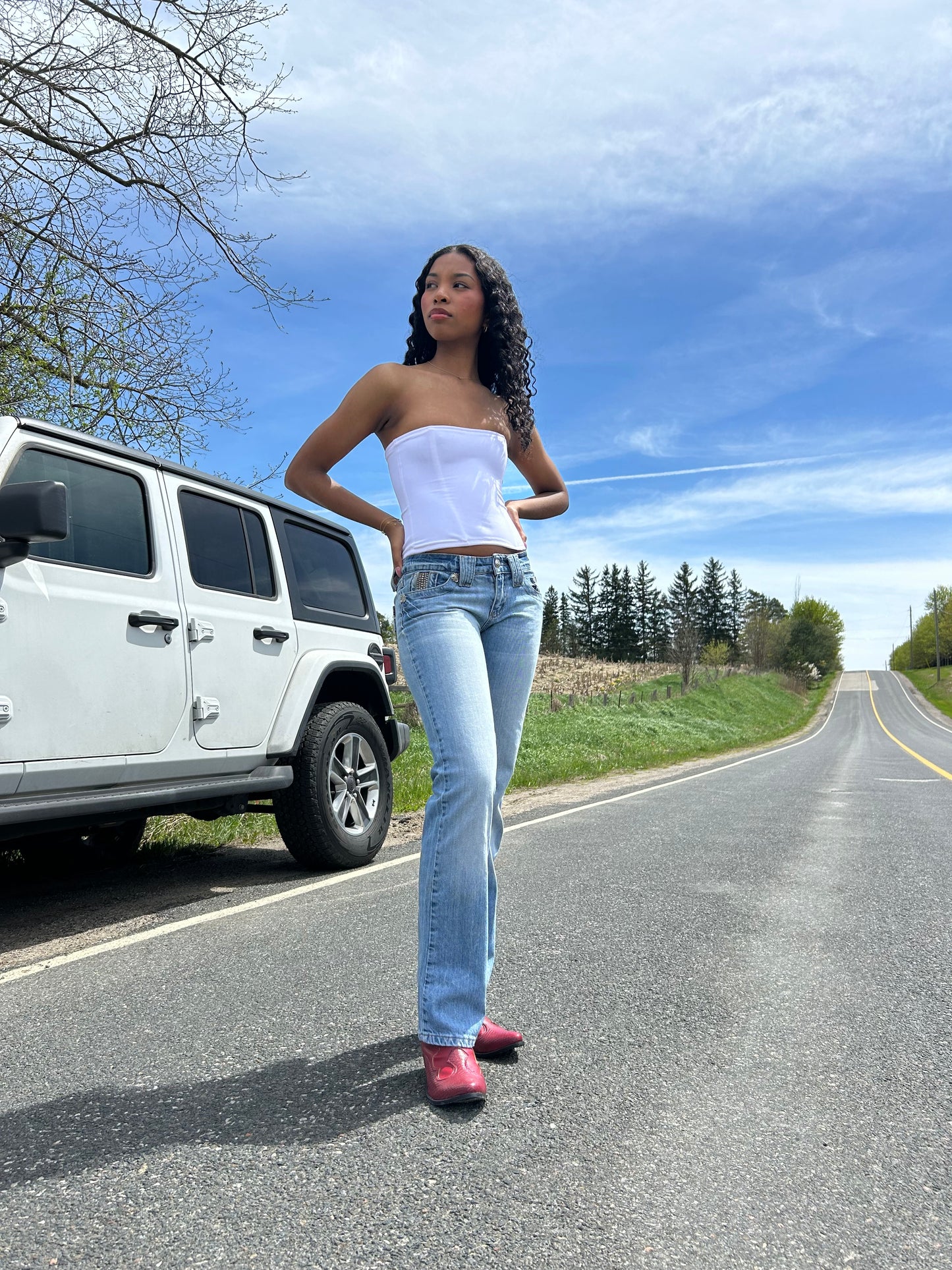 Roberto Cavalli Low Rise Jeans